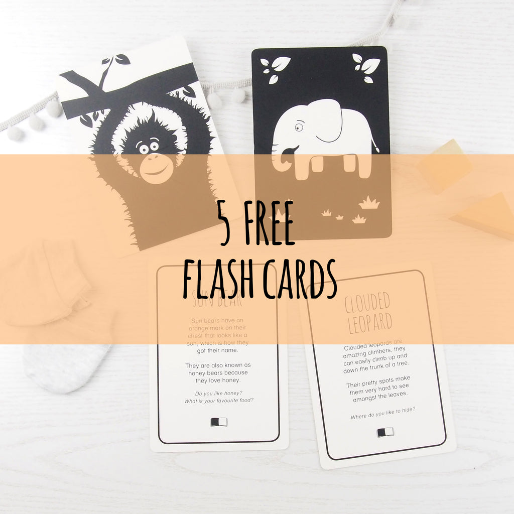 NEW! 6 Free baby black and white flash cards to download