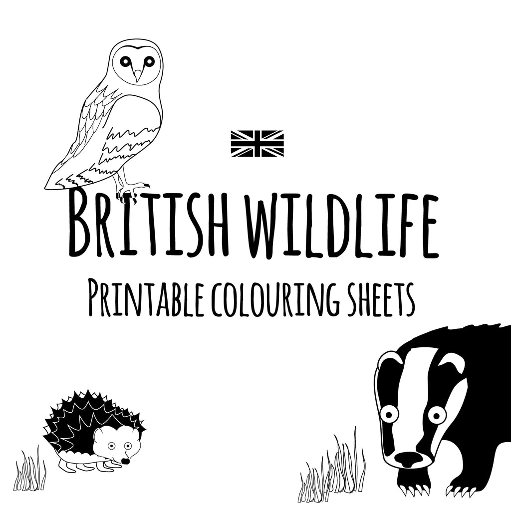 British Animals Colouring Sheets