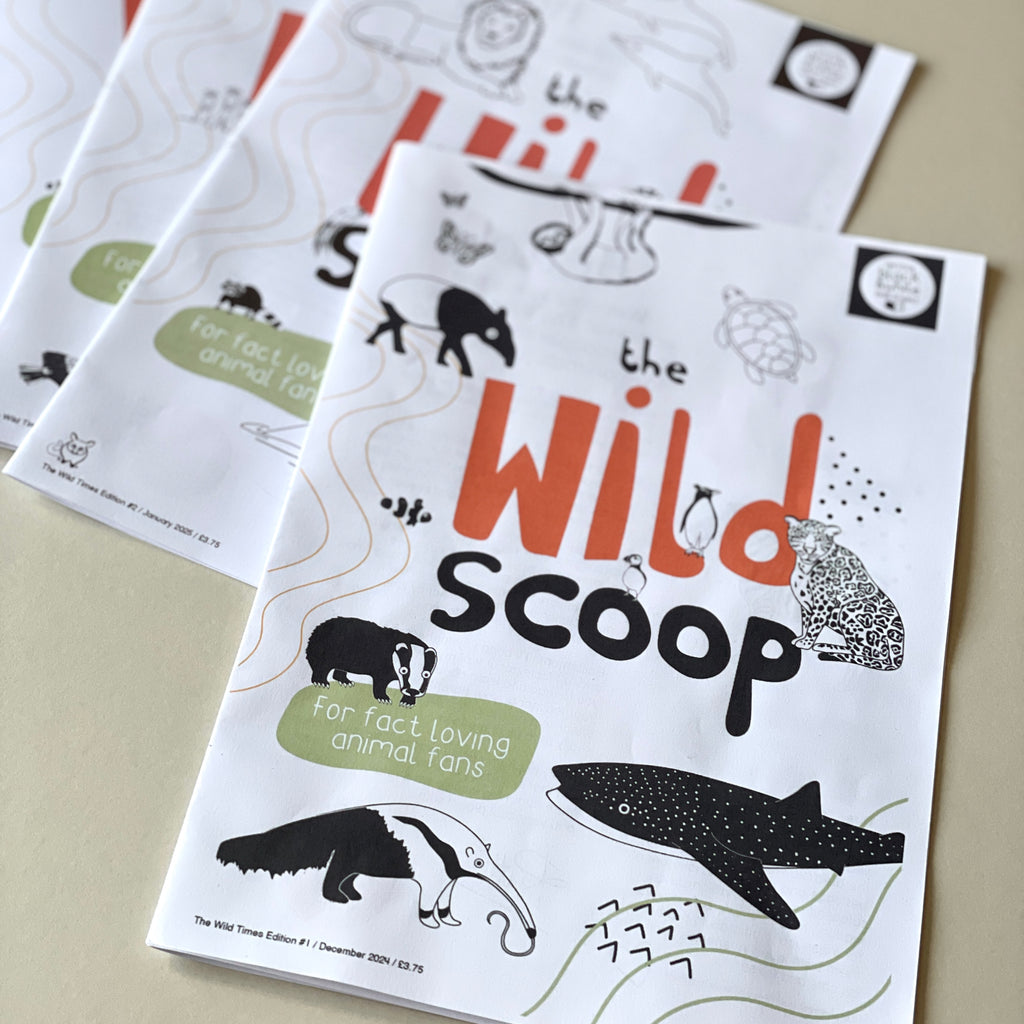 The Wild Scoop newspaper for children all about animals