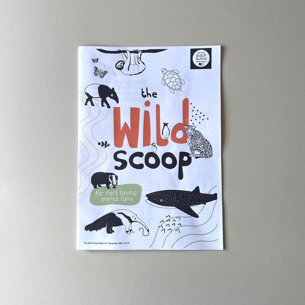 The Wild Scoop newspaper for children all about animals December 2024