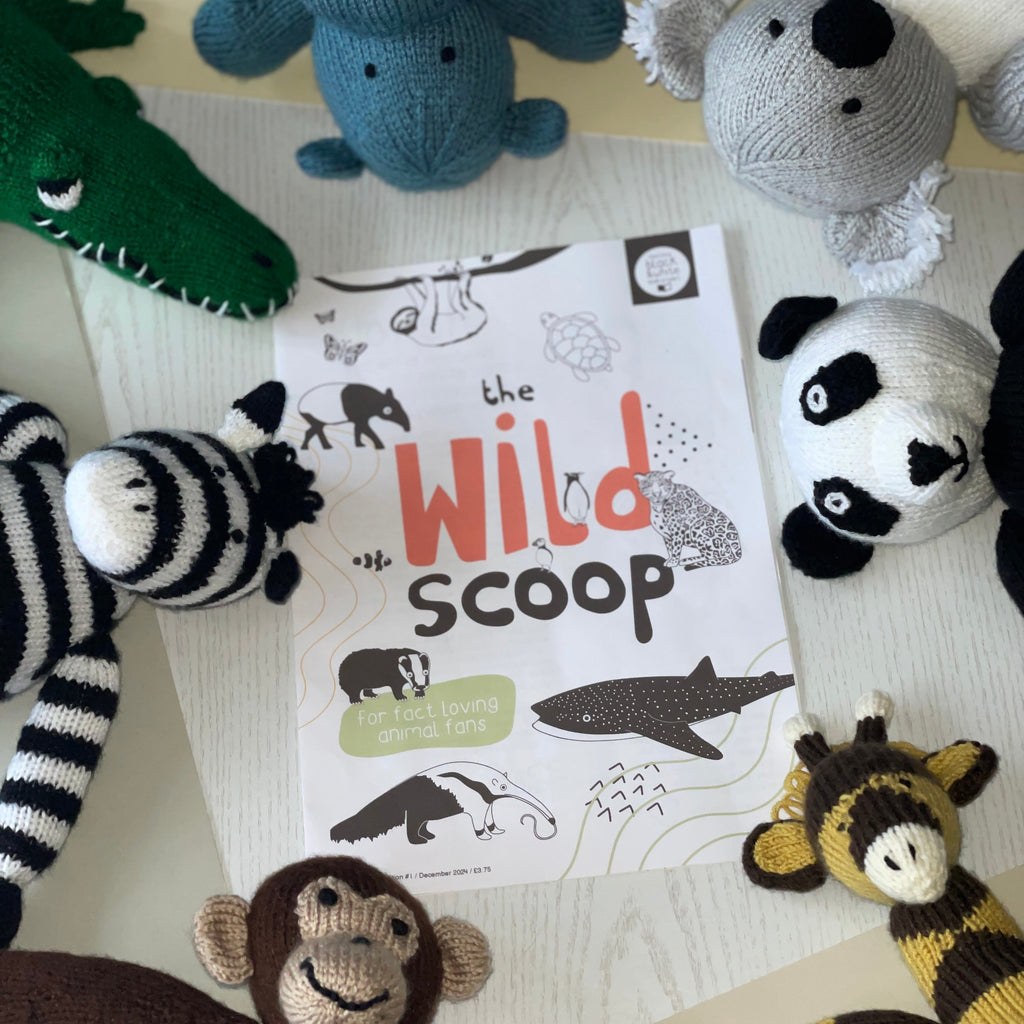 The Wild Scoop newspaper for children all about animals with cuddly knitted animals