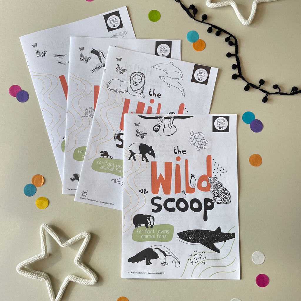 The Wild Scoop newspaper for children all about animals showing 4 editions