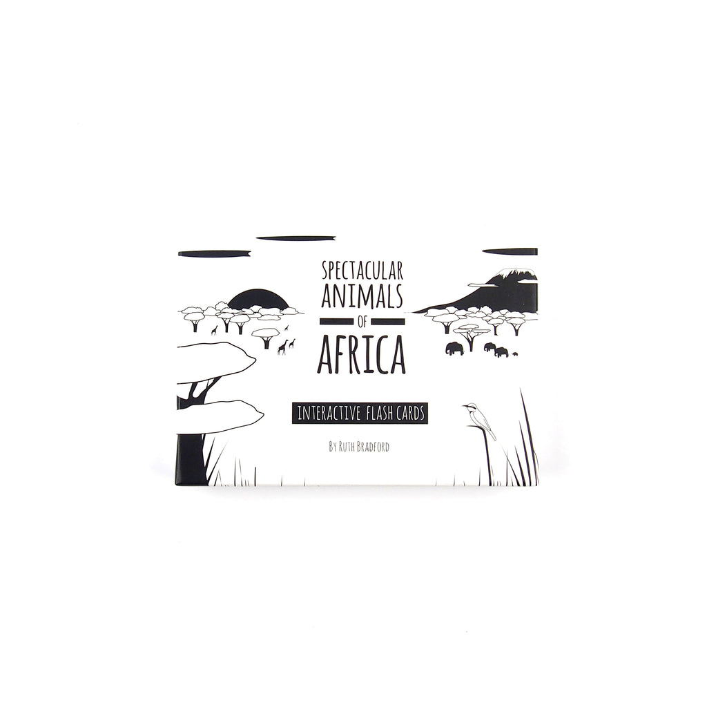 Animal flash cards African animals