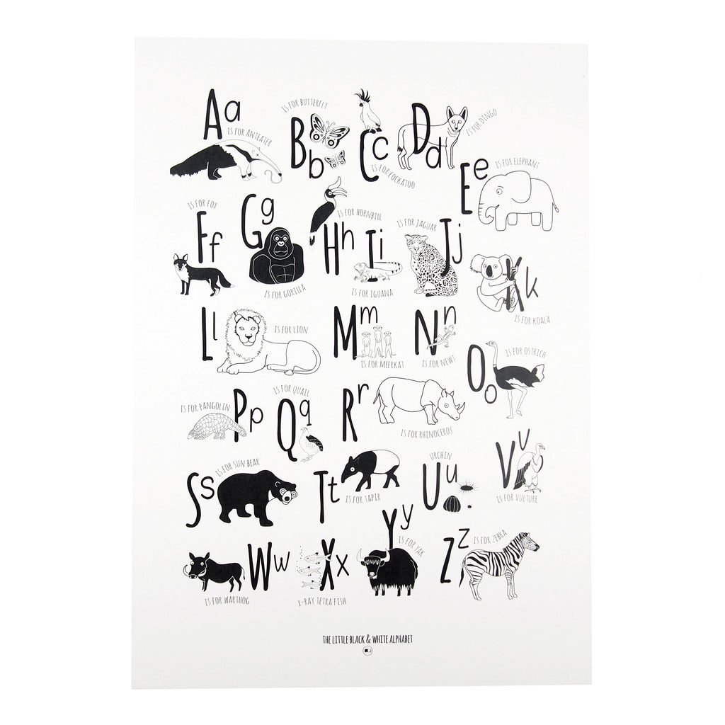 Animal Alphabet illustrations A3 Print