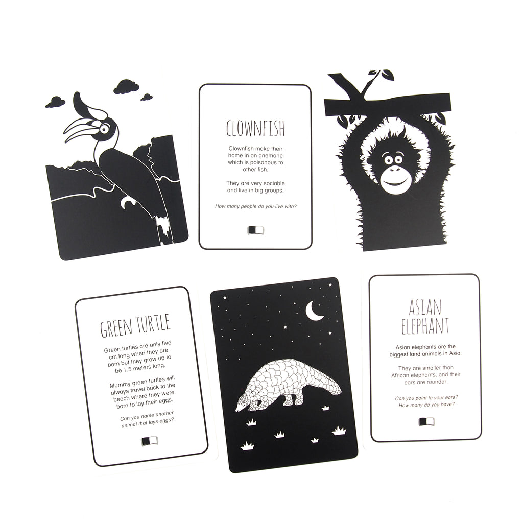 Our signature set of books and flash cards - The Little Black & White Book Project