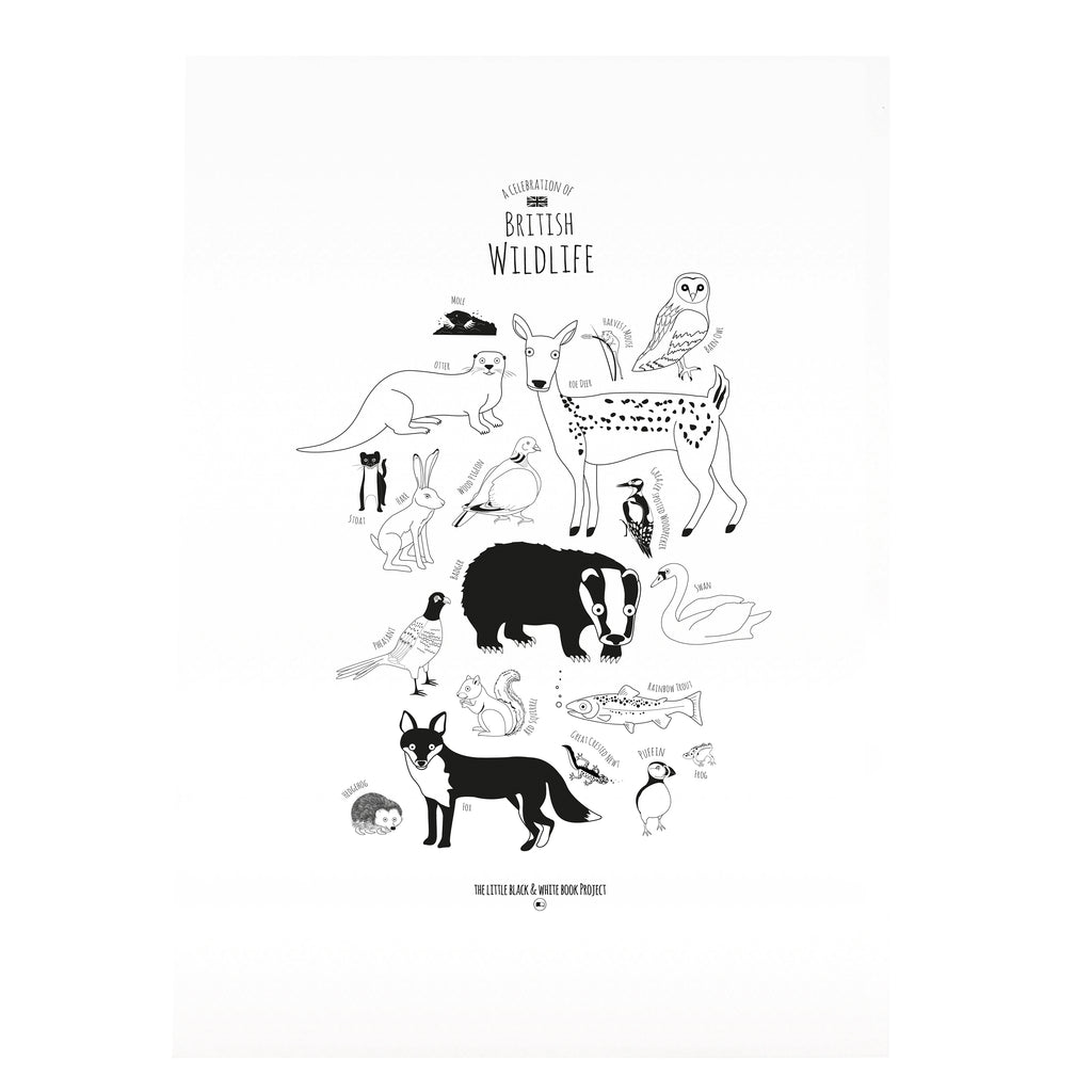 British Animals illustration A3 Print