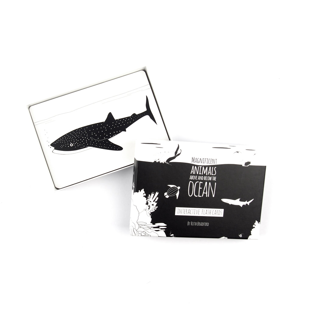 Black and white flash cards Ocean animals