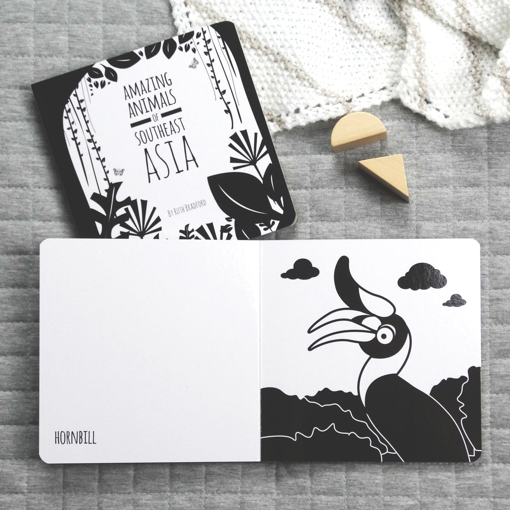 Our signature set of 3 baby books - The Little Black & White Book Project